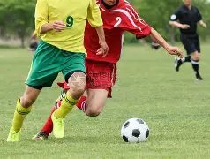 大乐透期号,专家质合分,析推荐前区,太阳城,太阳城娱乐,太阳城app,太阳城赌场